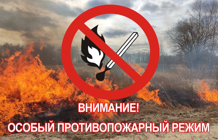 На территории Вологодской области введён особый противопожарный режим!